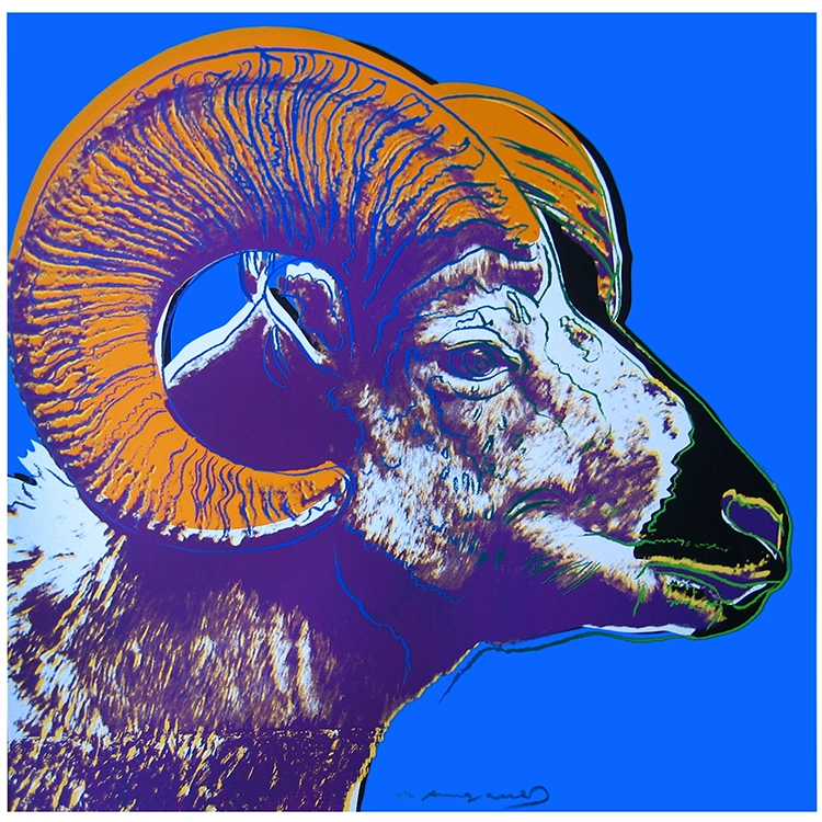 Endangered Species Bighorn Ram