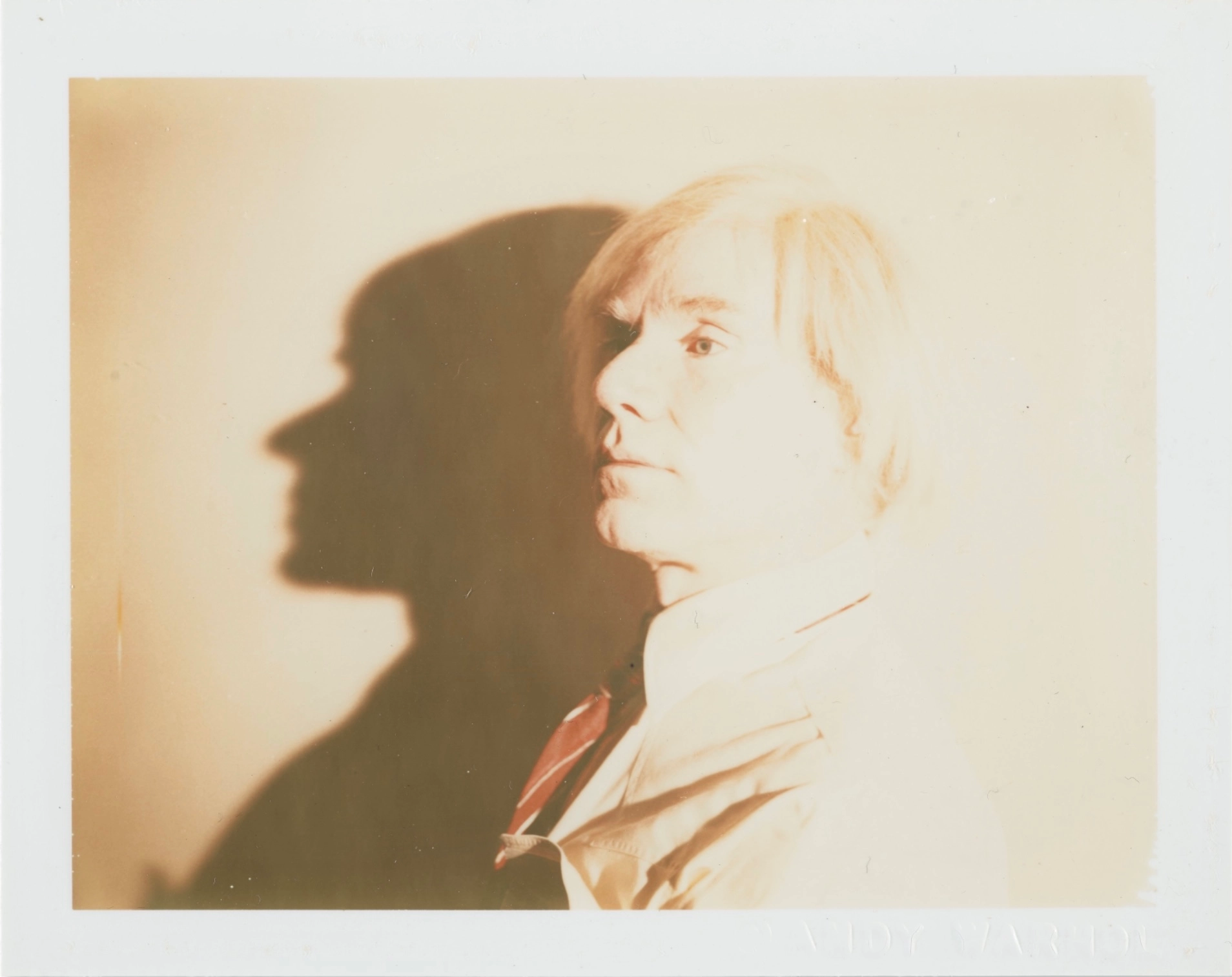 Andy Warhol Shadow Polaroid